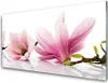 Acrylglasbilder 100x50 Wandbild Druck Blumen Pflanzen Produktbild-Vorschau 1