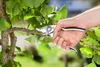 Gardena Alu-Gartenschere B+/L Produktbild-Vorschau 4