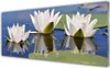 Glasbilder 125x50 Wandbild Druck auf Glas Blumen Pflanzen Produktbild-Vorschau 1