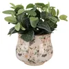 A potted plant with green leaves sits in a decorative ceramic pot. Anteprima dell’immagine prodotto