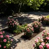 FIVMEN 25 Stück Dekorativer Gartenzaun aus Metall, Produktbild-Vorschau 9
