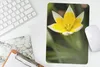 MuchoWow® Mauspad Mousepad Blume - Garten - Gelb 18x27 cm - Produktbild-Vorschau 5