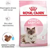 A bag of Royal Canin Mother & Babycat cat food with illustrations and text highlighting its benefits. Produktbild-Vorschau
