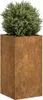 vidaXL Fioriera Rusty 40x40x80 cm Acciaio resistente alle Anteprima dell’immagine prodotto 8