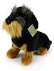 Peluche Bassotto a Pelo Duro 30 Cm Ecologico Anteprima dell’immagine prodotto 2