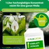 Purgrün nawóz do pojedynczych liści 1 litr Podgląd zdjęcia produktu 4