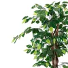 3.08 Dekorativní rostlina 115cm - Model: Benjamini (široká) Náhled obrázku produktu 3
