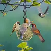 Meisenknödel-Vogelfutterstation mit Haken, 4 x Bälle, Produktbild-Vorschau 6