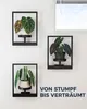 Bamworld Hängegefäße für Zimmerpflanzen, Wanddeko, Produktbild-Vorschau 4