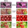 Indoor Plant Grow Lights, 100 Watt Full Spectrum Plant Produktbild-Vorschau 4