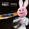 Duracell Plus New AA BPH12 (MN1500/LR6) Produktbild-Vorschau 4