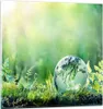 Bilder auf glas - natur natur - 60x60cm - Glasbilder - Produktbild-Vorschau 1