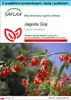 SAFLAX - Zestaw prezentowy - Jagoda Goji - 200 Nasiona - Z Podgląd zdjęcia produktu 1