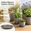 Pflanztopfuntersetzer Mira Anthrazit Ø 44cm - Frostsicher & Produktbild-Vorschau 4