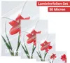 Olympia 9165 Set Laminierfolien mit je 20x A6, A5, A4 und Produktbild-Vorschau 5