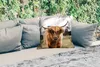 MuchoWow® Outdoor Kissen - Schottisches Hochlandrind - Kuh Produktbild-Vorschau 2