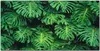 Coloray Bild aus Leinwand 100x50 Leinwand Dekoration - Produktbild-Vorschau 1
