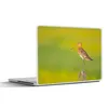 MuchoWow® Laptop Aufkleber Sticker Cover Vogel - Tiere - Produktbild-Vorschau 1
