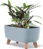 A potted plant with green and purple leaves sits in a light gray planter with wooden legs. Náhľad obrázku produktu