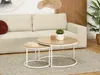 A living room scene with a couch, coffee tables, and a plant. Podgląd zdjęcia produktu