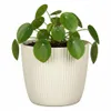 Scheurich Aura, Blumentopf aus Keramik, Farbe: Creme, 20,8 Produktbild-Vorschau 2