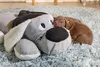 Beeztees Welpen Hundespielzeug Boomba XL 70 x 40 cm grau Produktbild-Vorschau 3