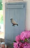 Landhaus Fensterladen Vogel in taubenblau, Shabby antique Produktbild-Vorschau 4