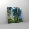 Bilder auf glas - Einteilig - Wald Dämmerung die Sonne - Produktbild-Vorschau 4