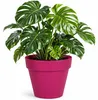 Mega Collections Pflanzentopf/blumentopf - Kunststoff - Produktbild-Vorschau 1