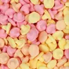 Red Band Sour Mushrooms 240er Produktbild-Vorschau 5