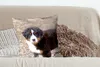 MuchoWow® Zierkissen Sofakissen Wohnzimmer Dekokissen 50x50 Produktbild-Vorschau 4