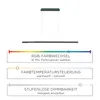 Paul Neuhaus LED Pendelleuchte Q-ARIAN Pendellampe mit Produktbild-Vorschau 4