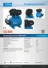 Güde Wasserautomat Pumpe Hauswasserwerk HWW 6035 19 Liter Kessel 3200 l-h Garten Regenwasserpumpe Brunnen Teich Haus Hof Zisterne Bewässerung Auspumpen  günstig online kaufen 396832 93930 4015671136664 Stabilo-Fachmarkt.de Anteprima dell’immagine prodotto