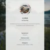 PLAKAT – 42 x 59 cm (A2) – Luna – palmy, słońce, łagodne Podgląd zdjęcia produktu 6