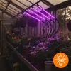 LED Pflanzenlampe 90W Vollspektrum mit 4 Köpfen, Produktbild-Vorschau 7