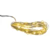 A coiled string of micro LED lights on a white background. Produktbild-Vorschau