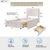 ProximaX Einzelbett 90x200 cm mit 2 Schubladen – Samtstoff Produktbild-Vorschau 4