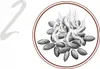 Lindt Lindor Praliny Pistachio Czekolada 200 g Podgląd zdjęcia produktu 4