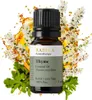 Thymianöl, ätherisches Öl, 100% Rein, BIO, natürlich, 10 ml Produktbild-Vorschau 1