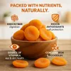 Getrocknete Aprikosen 5kg Ohne Zuckerzusatz Naturbelassen Produktbild-Vorschau 2