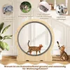 Roue d'exercice pour chat COSTWAY, 101 x 35 x 106 cm, roue Voir les images du produit 2