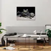 Bilder auf glas - Militaria Gewehr - 70x50cm - Glasbilder - Produktbild-Vorschau 6