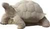 Schildkröte Gross, Riesenschildkröte, Tierfigur aus Produktbild-Vorschau 1