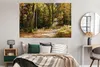 MuchoWow® Poster Waldlehrpfad im Nationalpark Bayerischer Produktbild-Vorschau 4