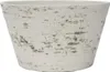 G21 Baltische Schale 35 x 20 x 35 G21-6392923 Produktbild-Vorschau 1