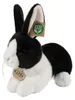 Plüschkaninchen 25 cm ECO-FRIENDLY Produktbild-Vorschau 6