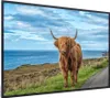 MuchoWow® MuchoWow® Gerahmtes Poster Schottisches Produktbild-Vorschau 7