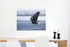 MuchoWow® Poster Vogel - Amerika - Amerikanischer Produktbild-Vorschau 5