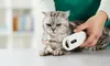 OUTPAW Tierchip Lesegerät Chipleser für Tiere RFID Chip Produktbild-Vorschau 8