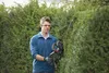 Bosch 0600849K00 Bosch UniversalHedgeCut 18-50 solo Productafbeelding-voorbeeld 17